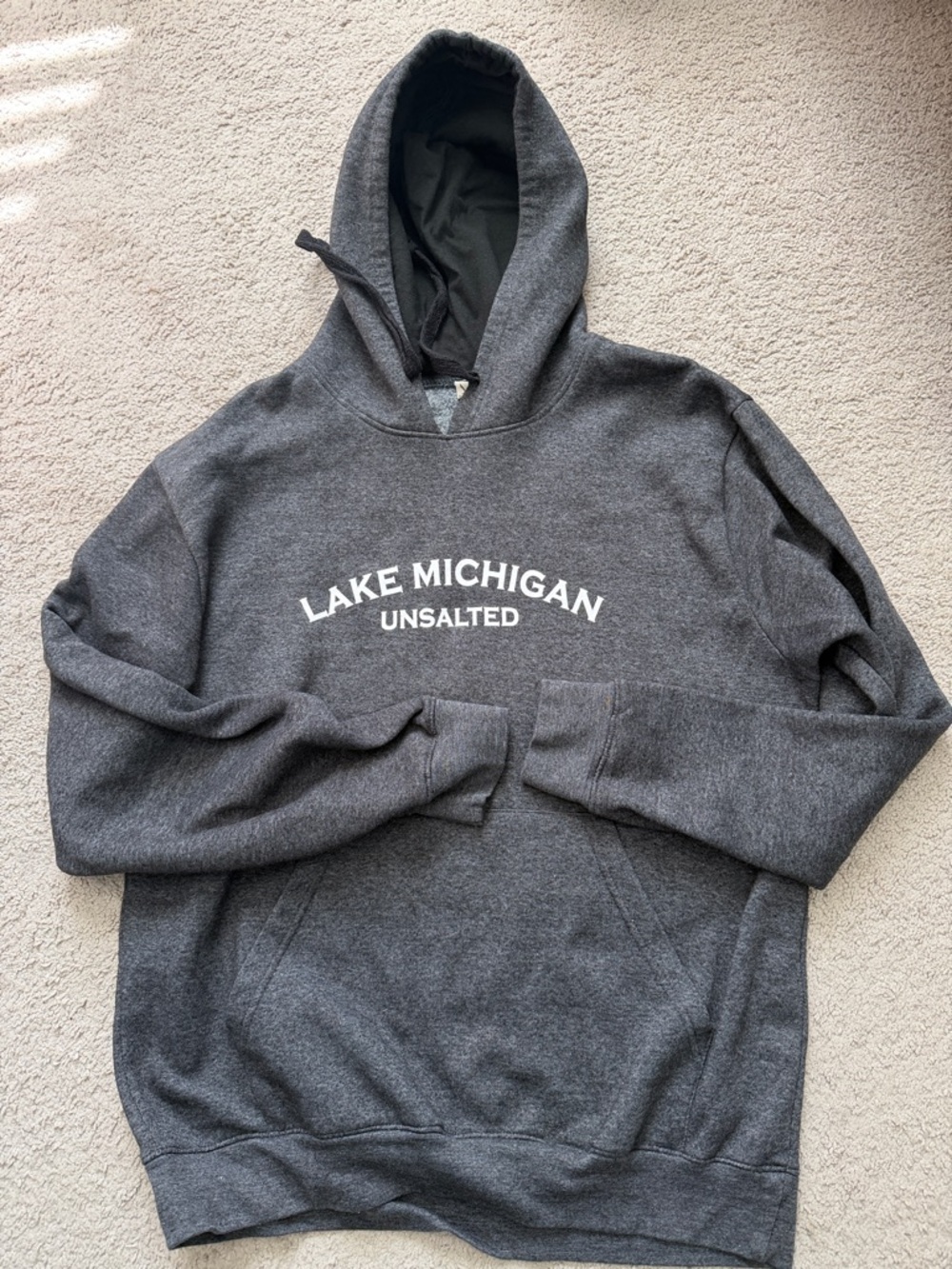 Lake Michigan Unsalted Hooded Sweatshirt - Dark Gray